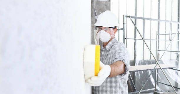 Why You Should Choose Our Mold Remediation Services in Sun City West, AZ