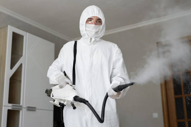 Mold Remediation for Vacation Homes in Sun City West, AZ